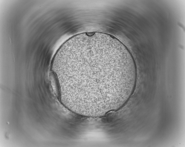 X0000101440912200807281020