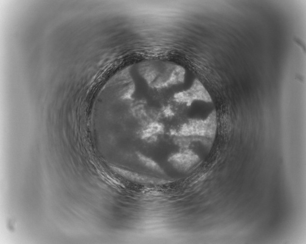 X0000101440913200807281019