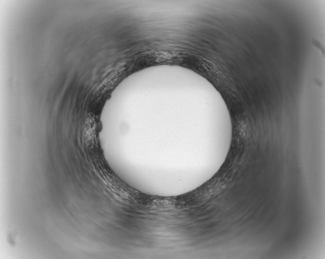 X0000101440914200807281019