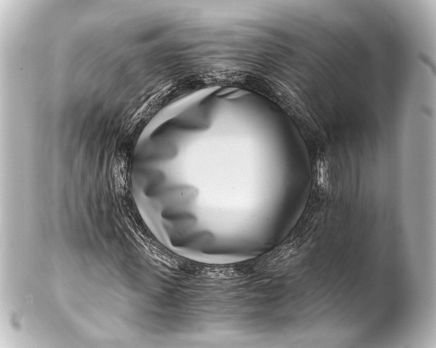 X0000101440915200807281019