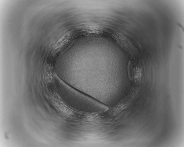 X0000101440916200807281019