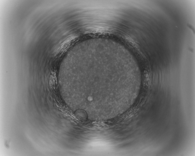 X0000101440918200807281019