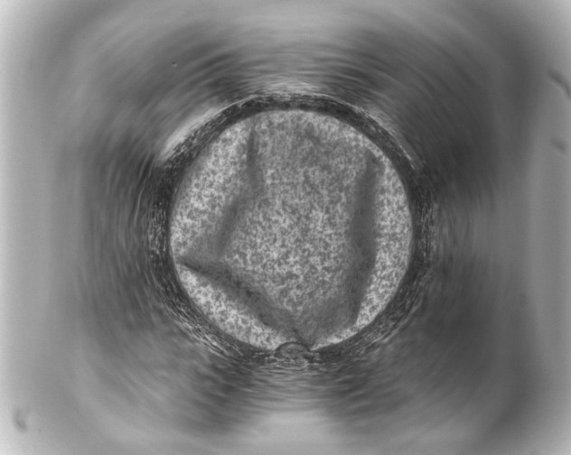 X0000101440919200807281019