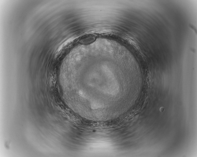 X0000101440920200807281019