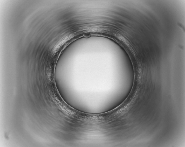 X0000101440922200807281019