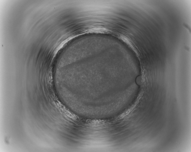 X0000101440923200807281019