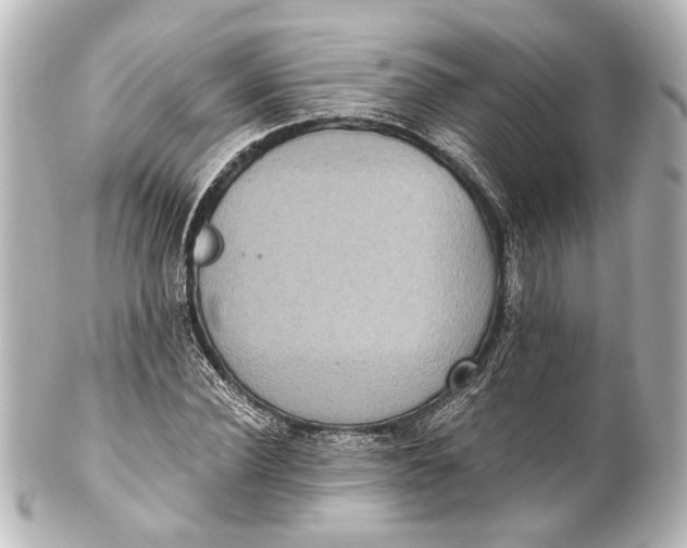 X0000101440924200807281019