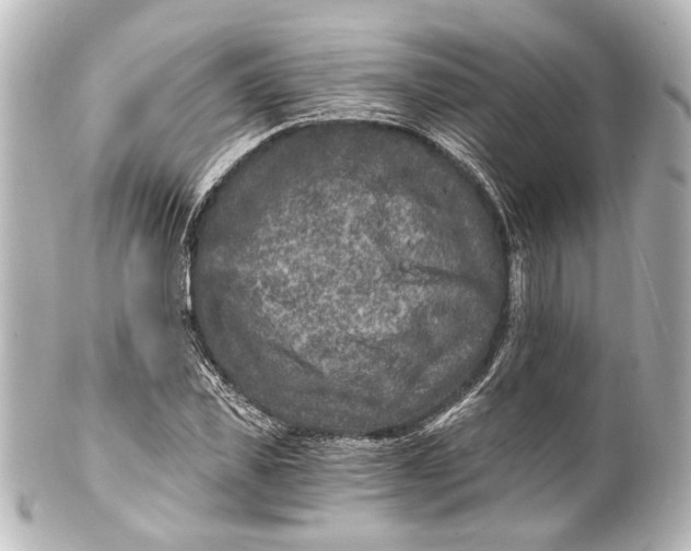 X0000101440925200807281019