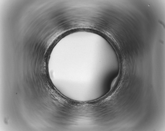 X0000101440926200807281019