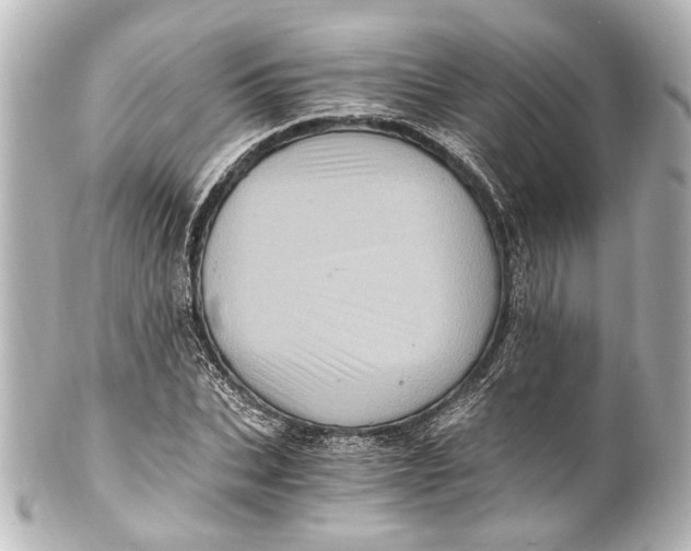 X0000101440927200807281019