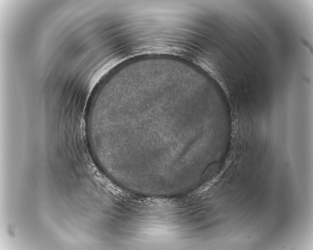 X0000101440928200807281019