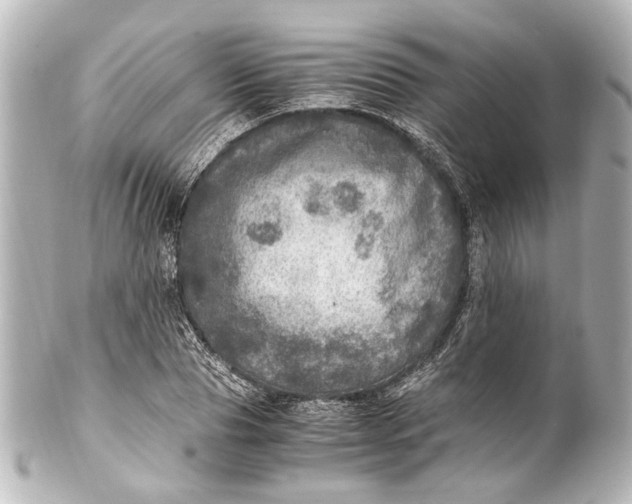 X0000101440929200807281019