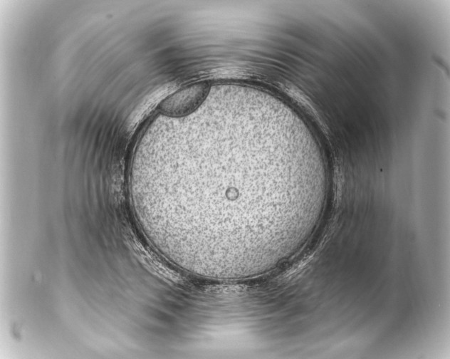 X0000101440930200807281019