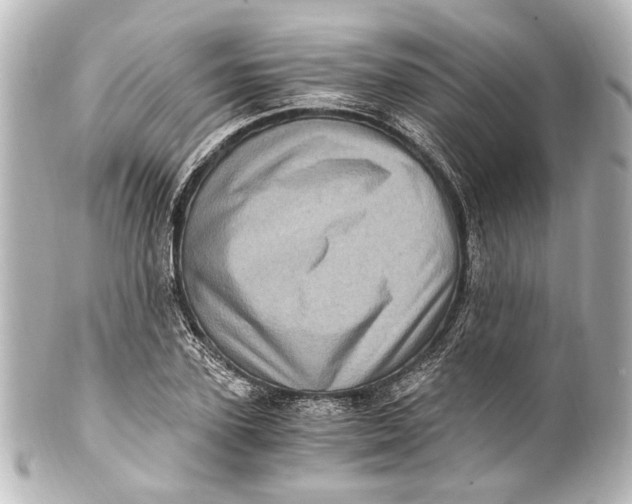 X0000101440931200807281019