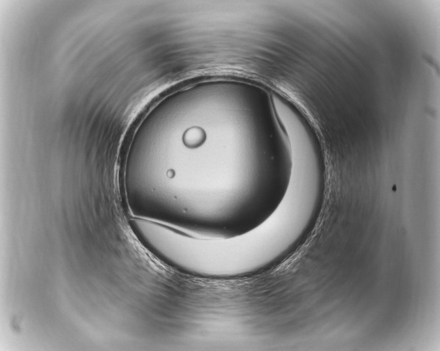 X0000101440932200807281019