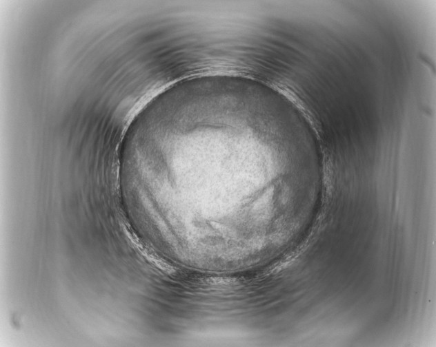 X0000101440933200807281019