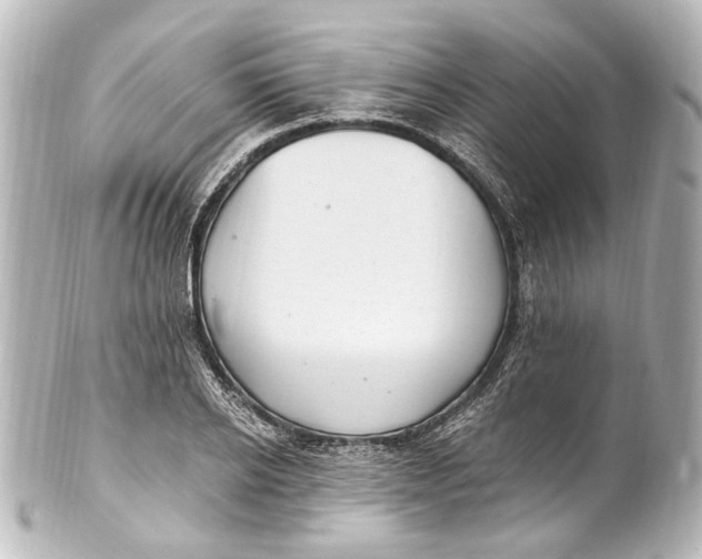 X0000101440934200807281019