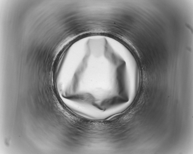 X0000101440935200807281019