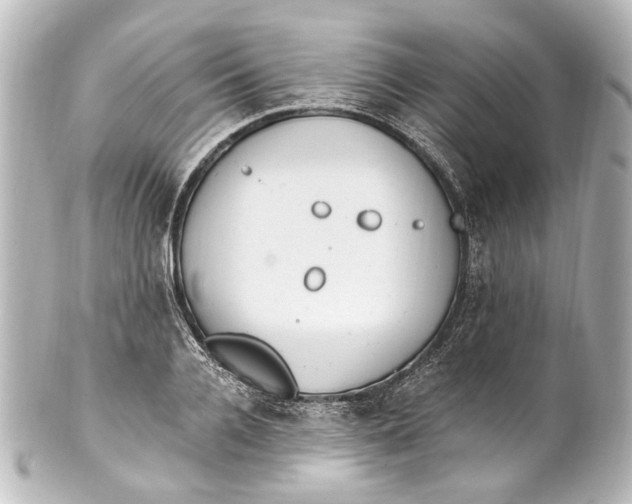 X0000101440936200807281019