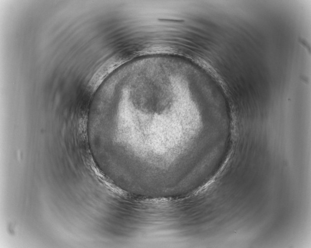 X0000101440937200807281019