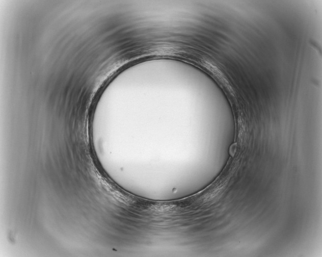 X0000101440939200807281019