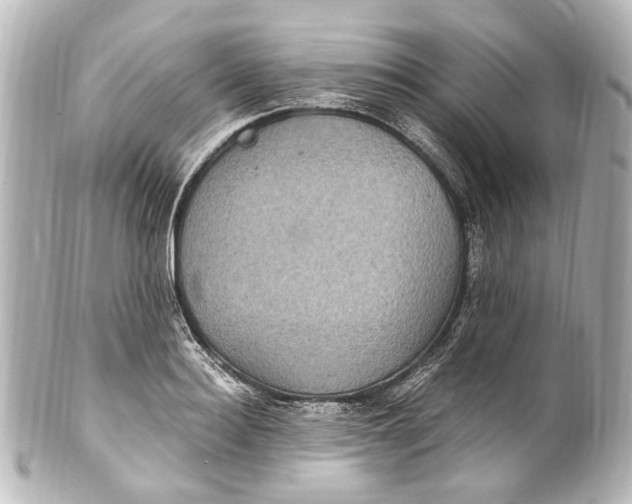 X0000101440940200807281019