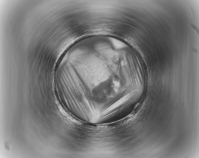 X0000101440941200807281019