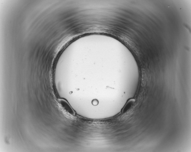 X0000101440942200807281019