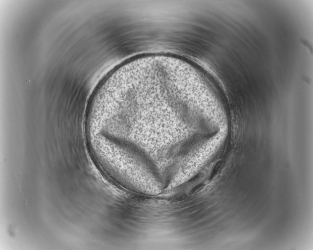 X0000101440943200807281019