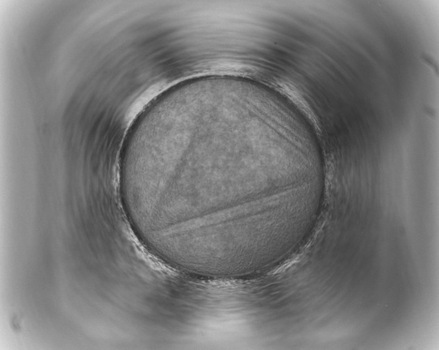 X0000101440944200807281019