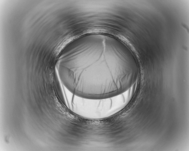 X0000101440945200807281019