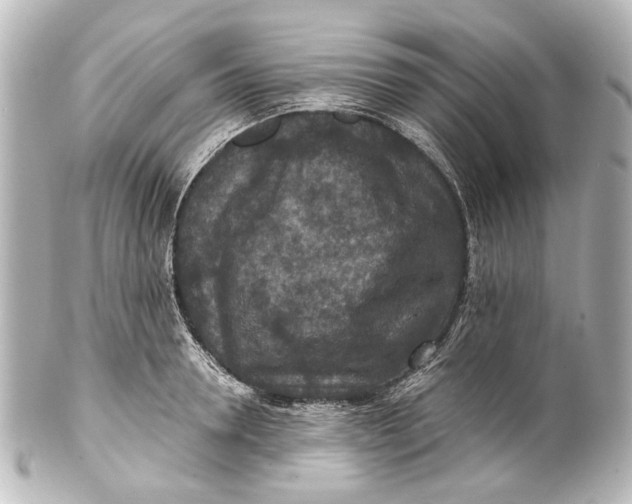 X0000101440946200807281019