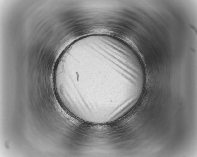 X0000101440947200807281019