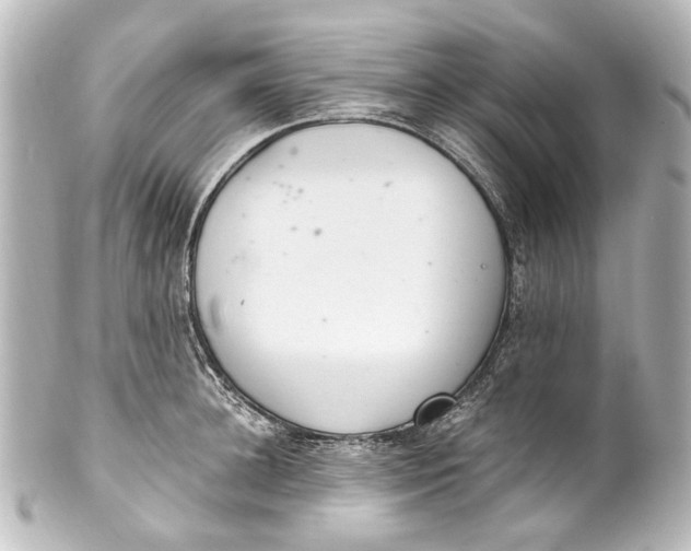 X0000101440948200807281019