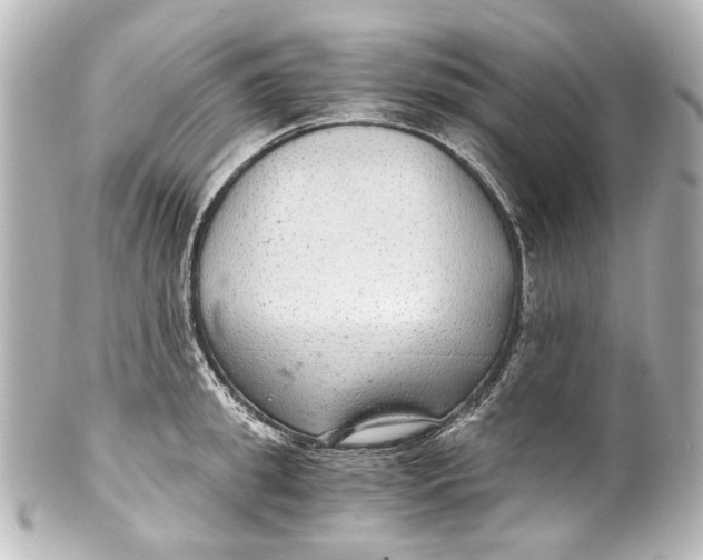 X0000101440949200807281019