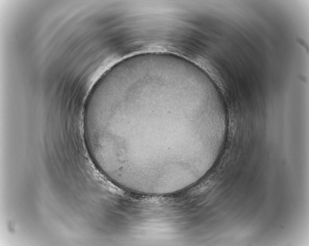 X0000101440950200807281019