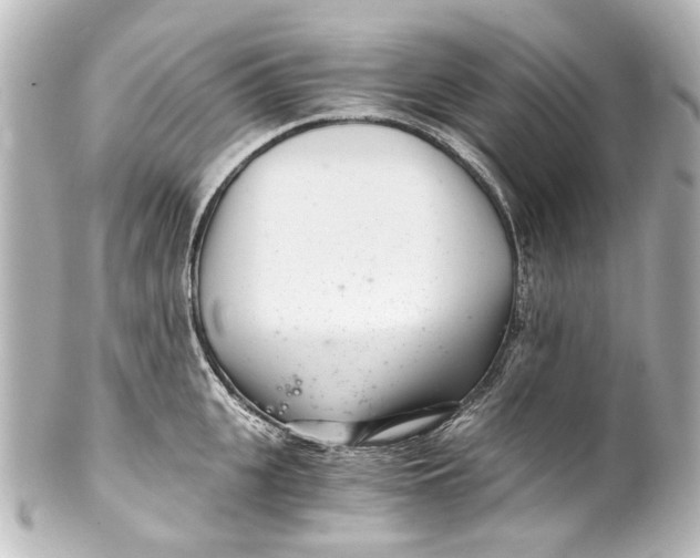 X0000101440951200807281019