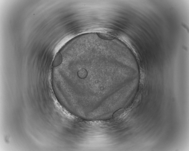 X0000101440952200807281019