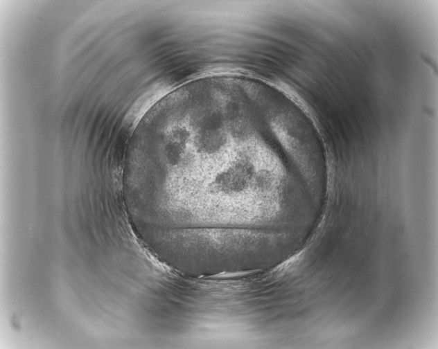 X0000101440953200807281019