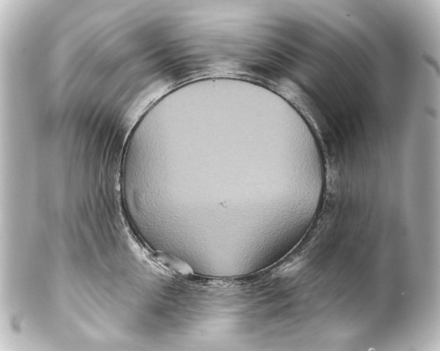 X0000101440954200807281020