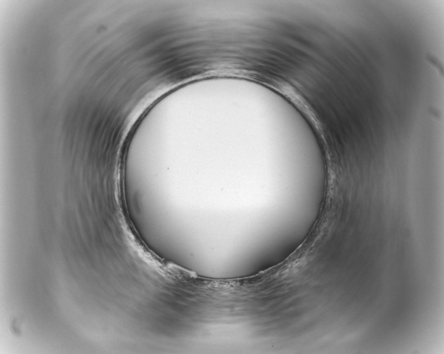 X0000101440955200807281020