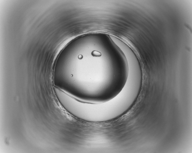 X0000101440956200807281020