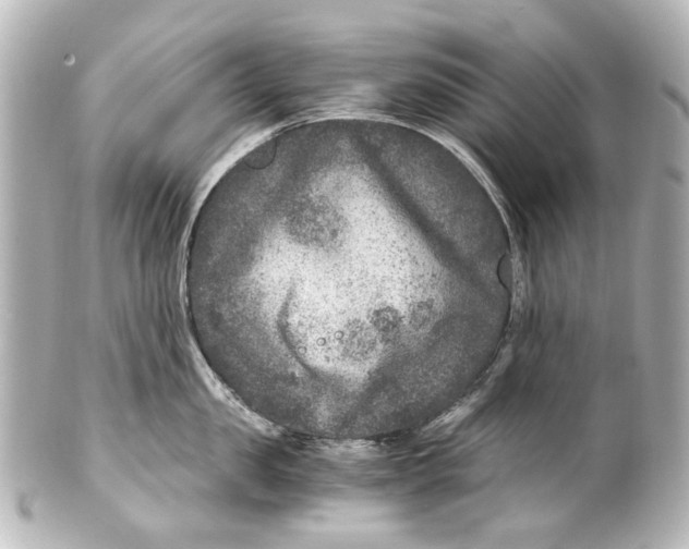 X0000101440957200807281020