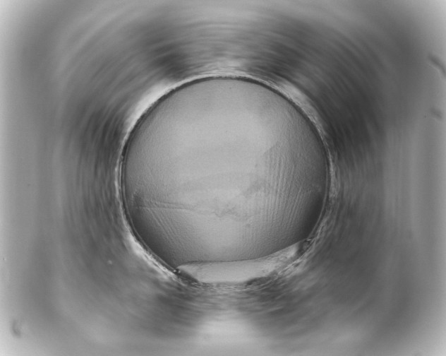 X0000101440958200807281020