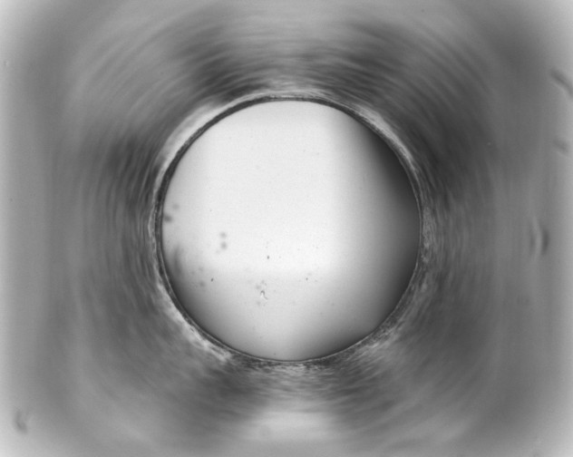 X0000101440959200807281020