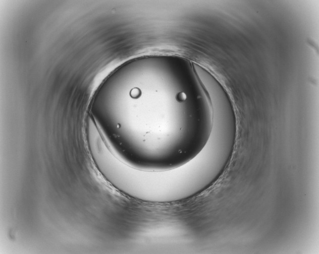 X0000101440960200807281020