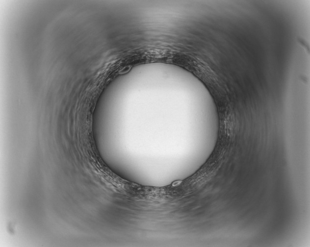 X0000101440961200807281019