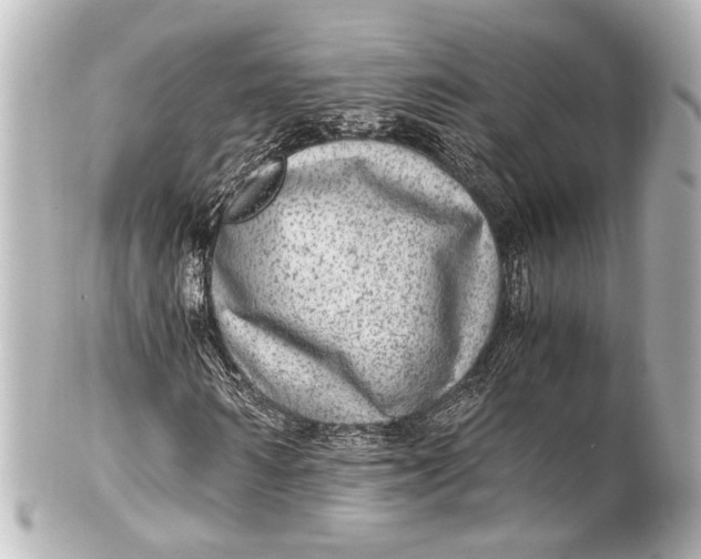 X0000101440962200807281019