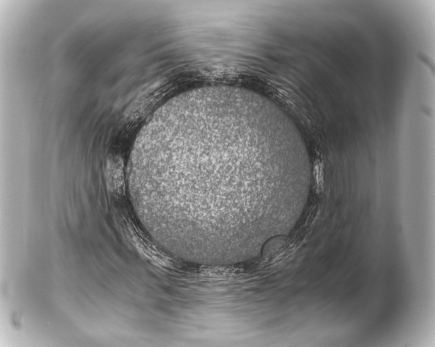 X0000101440963200807281019