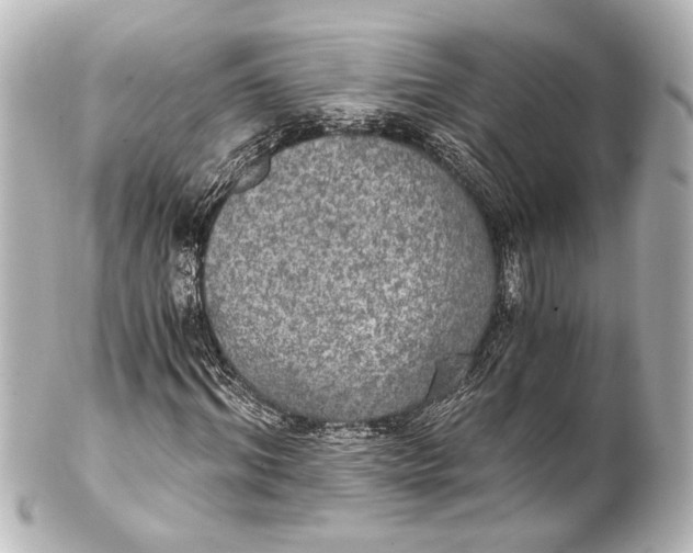 X0000101440964200807281019